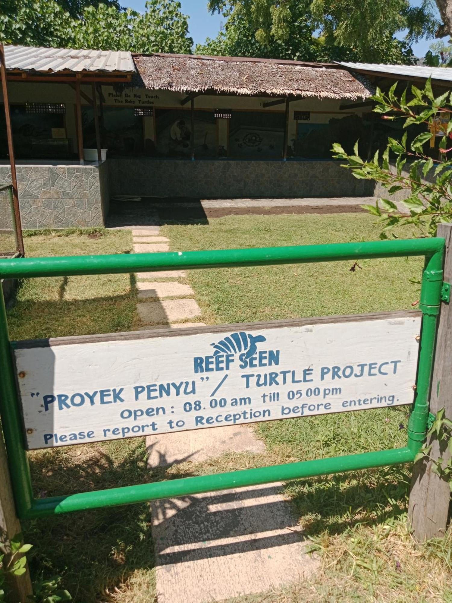 The Beach Bungalows & Turtle Sanctuary Pemuteran Exteriör bild