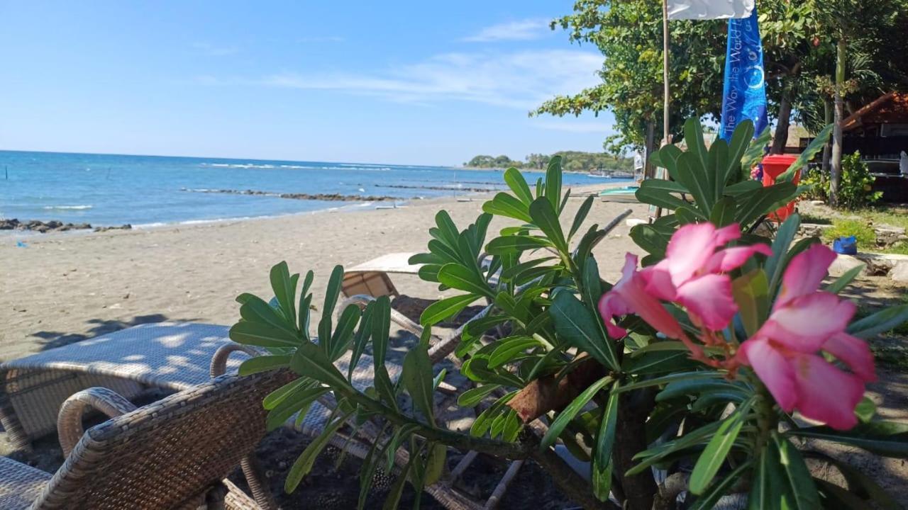 The Beach Bungalows & Turtle Sanctuary Pemuteran Exteriör bild