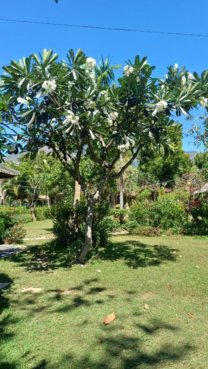 The Beach Bungalows & Turtle Sanctuary Pemuteran Exteriör bild